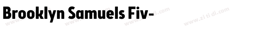 Brooklyn Samuels Fiv字体转换